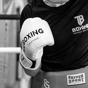 Boxing Gloves Boxing Gloves